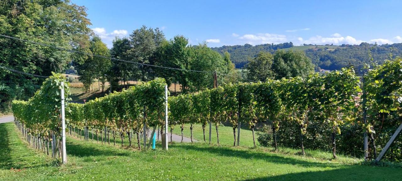 Gaestehaus - Camping- Weinhof Radl Klöch المظهر الخارجي الصورة