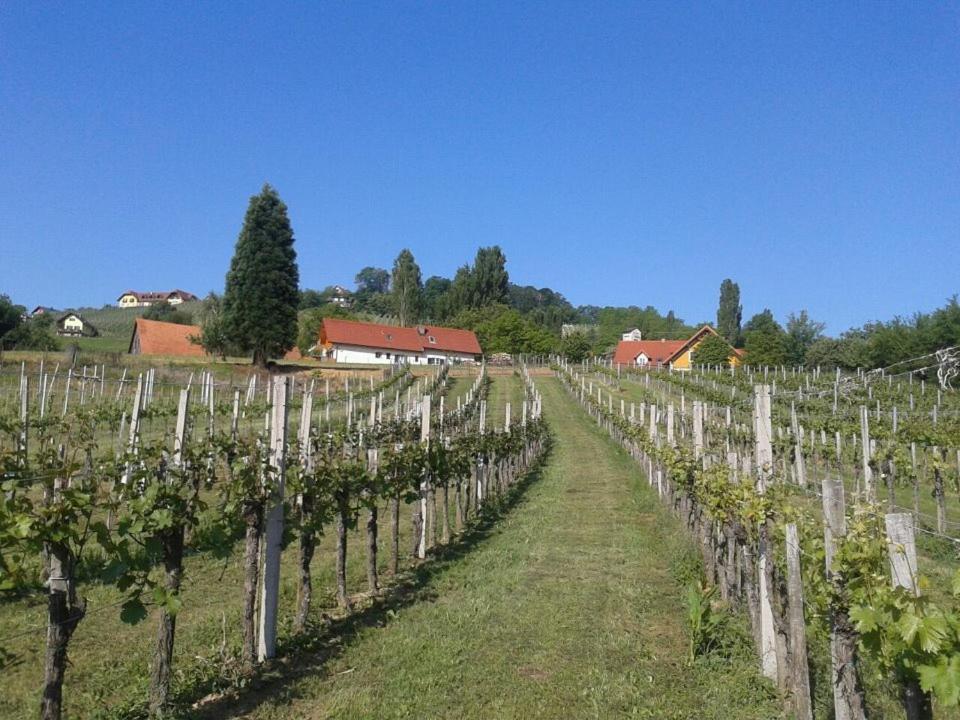 Gaestehaus - Camping- Weinhof Radl Klöch المظهر الخارجي الصورة